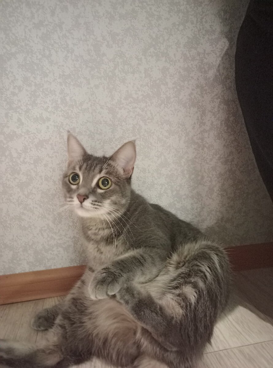 Это мы бегали и зависли )))))