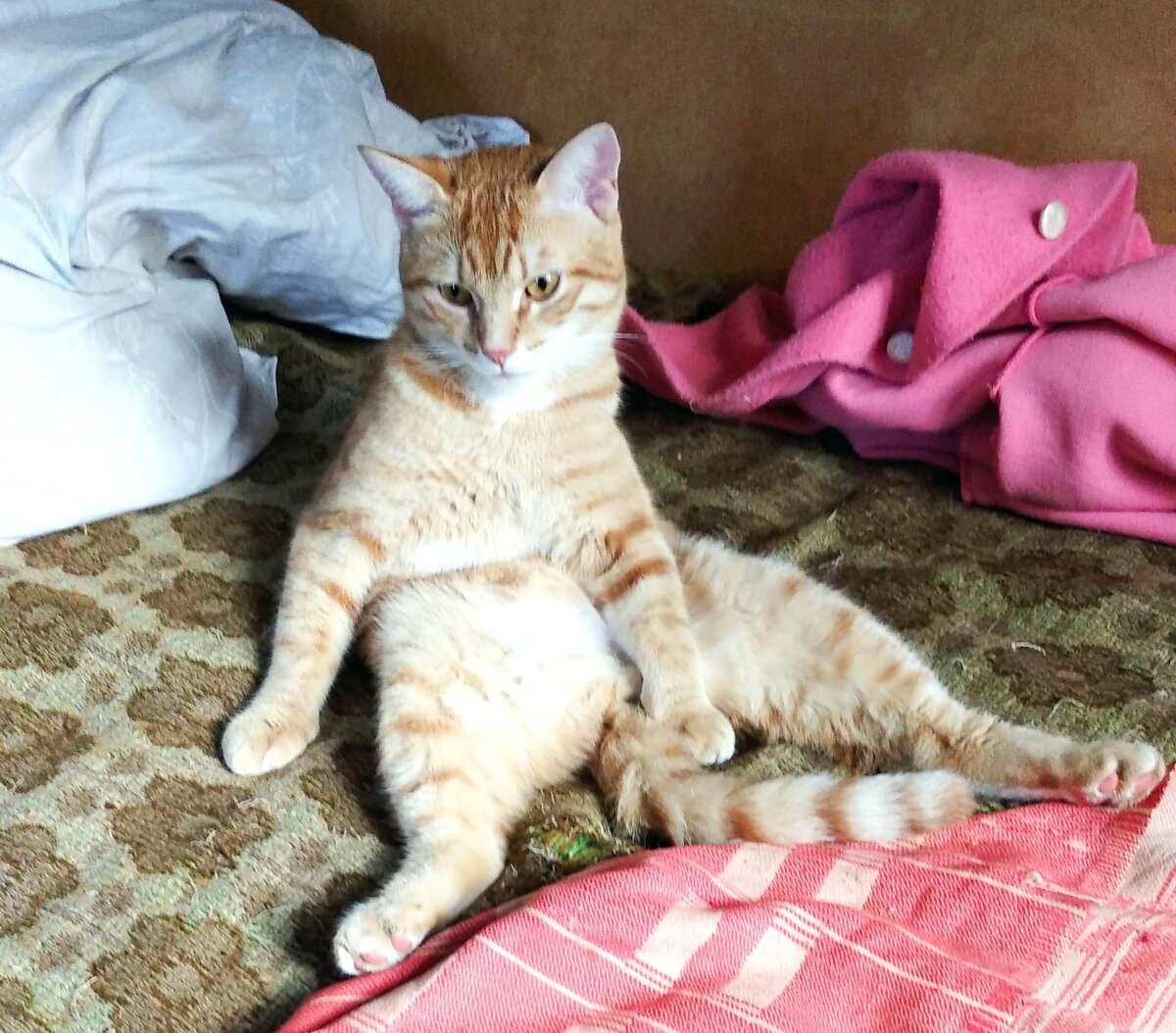 Личное  фото.