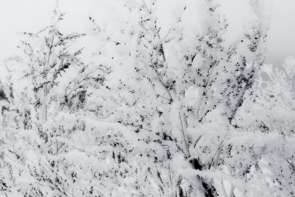     Коммунальные службы Липецка готовятся к предстоящему снегопаду Юлия КЛЮЕВА