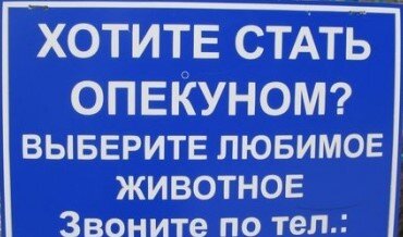 фото из открытых источников