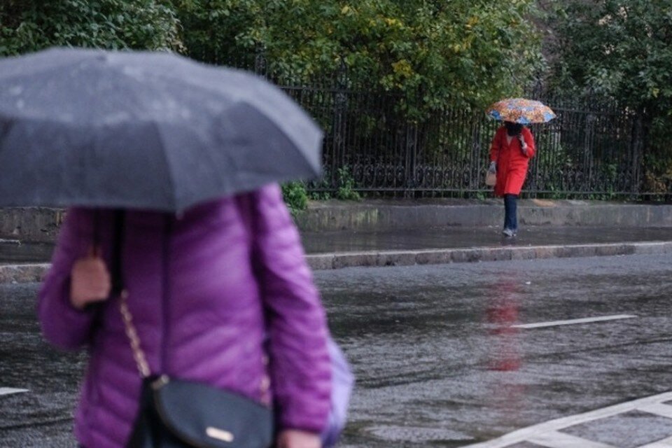     Скорость ветра в этот день составит до двух метров в секунду Артем КИЛЬКИН