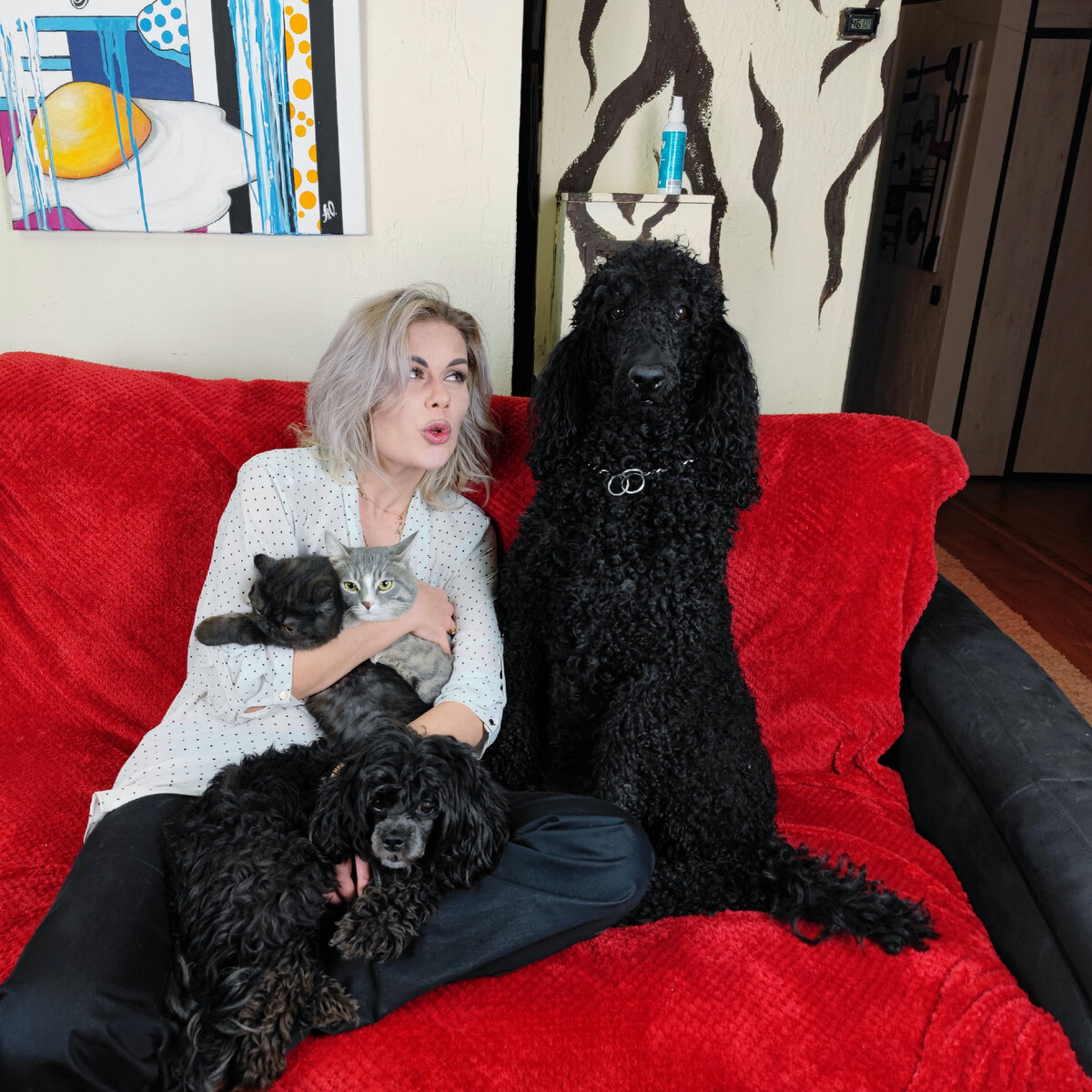 Привлекаю внимание Кинга. Безуспешно.