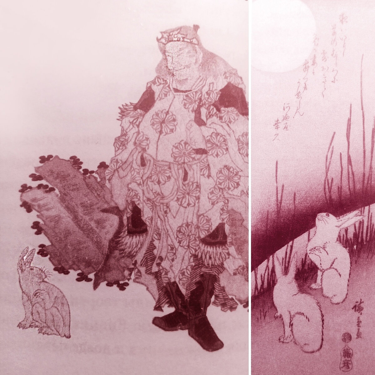 Зайцы: до и после встречи с Окунинуси. А вы когда-нибудь видели голого зайца?