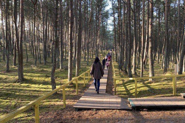 Из открытых источников (телеграмм канала Пенсионер и Я)