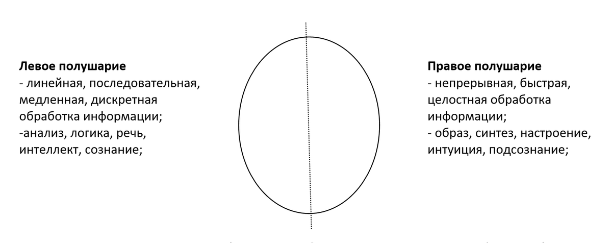 У каждого полушария своя специфика переработки восприятия и переработки информации.
