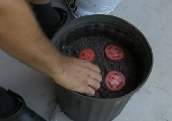 Фотография взята из источника selziv.ru