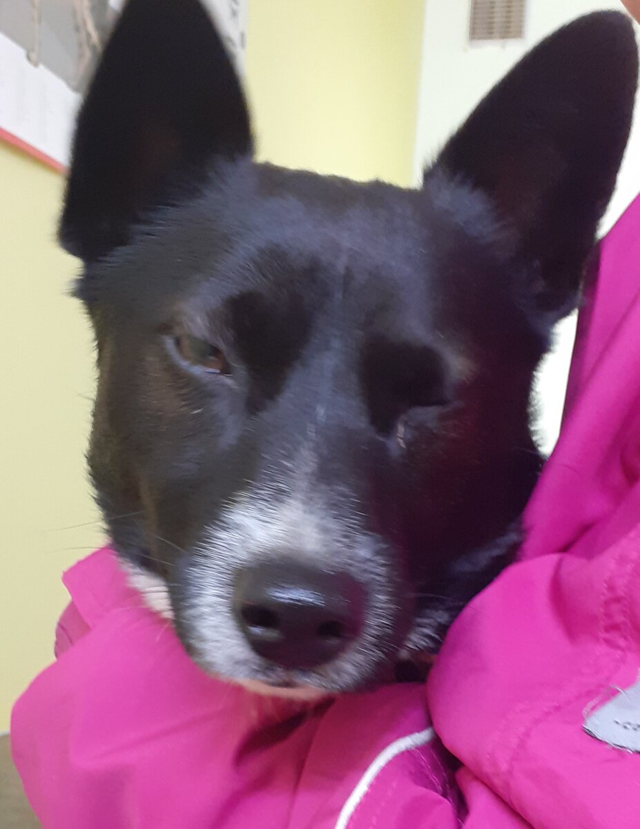 Хитренько подмигивает, потому что принес мне интересный клинический случай