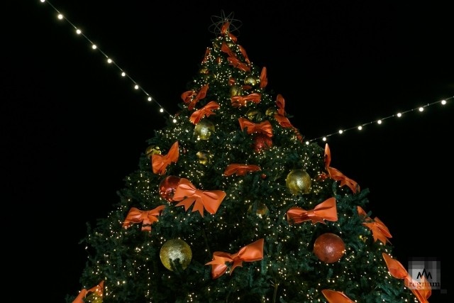    Ёлка большая и красивая Алексей Колчин © ИА REGNUM