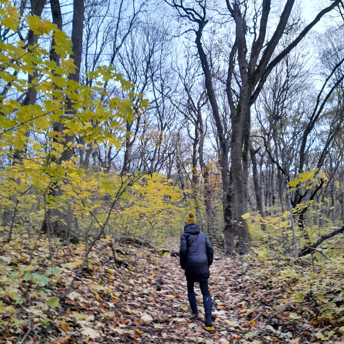 Идем тропинками ноября