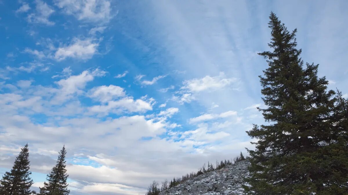 К концу ноября во многих городах России начнутся сильные холода. Фото: Pxfuel.com