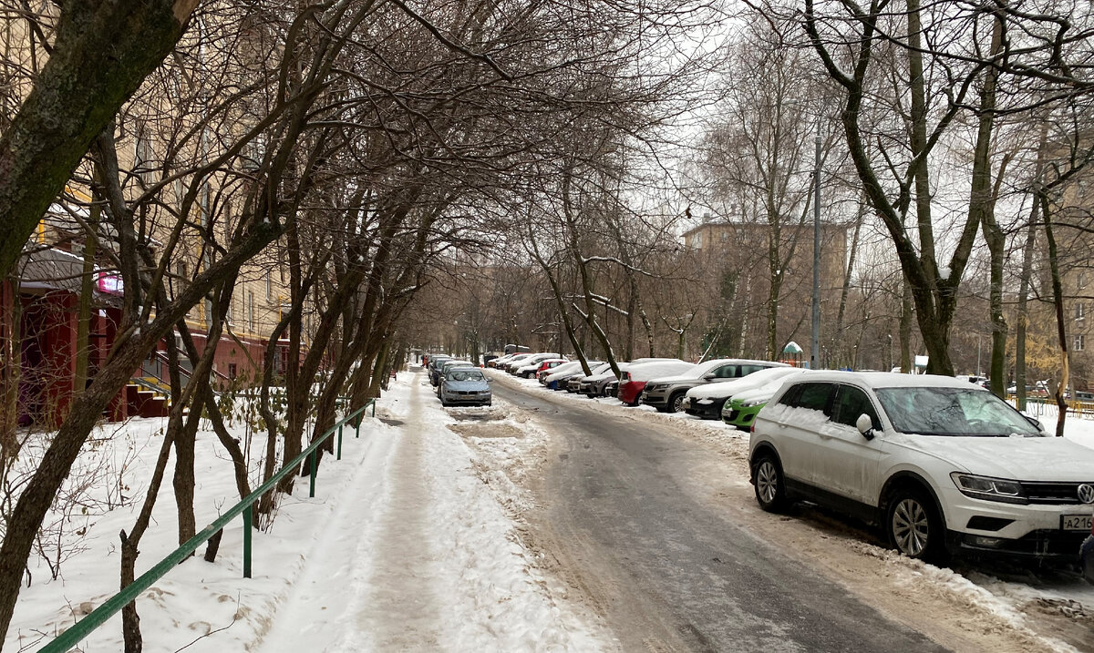 Фото двора автора. 22 ноября 2022 года.