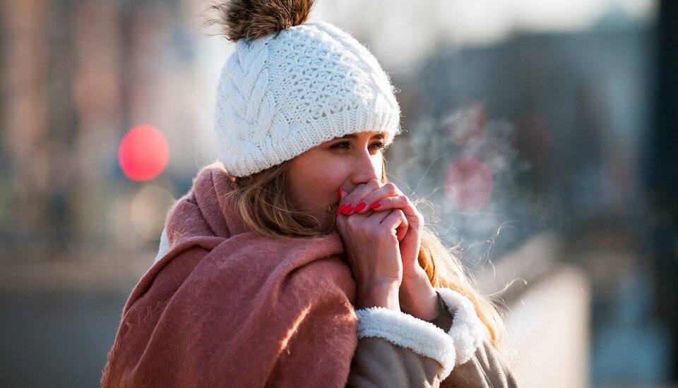 ShutterStock/Fotodom