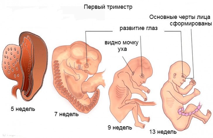 Яндекс картинки.