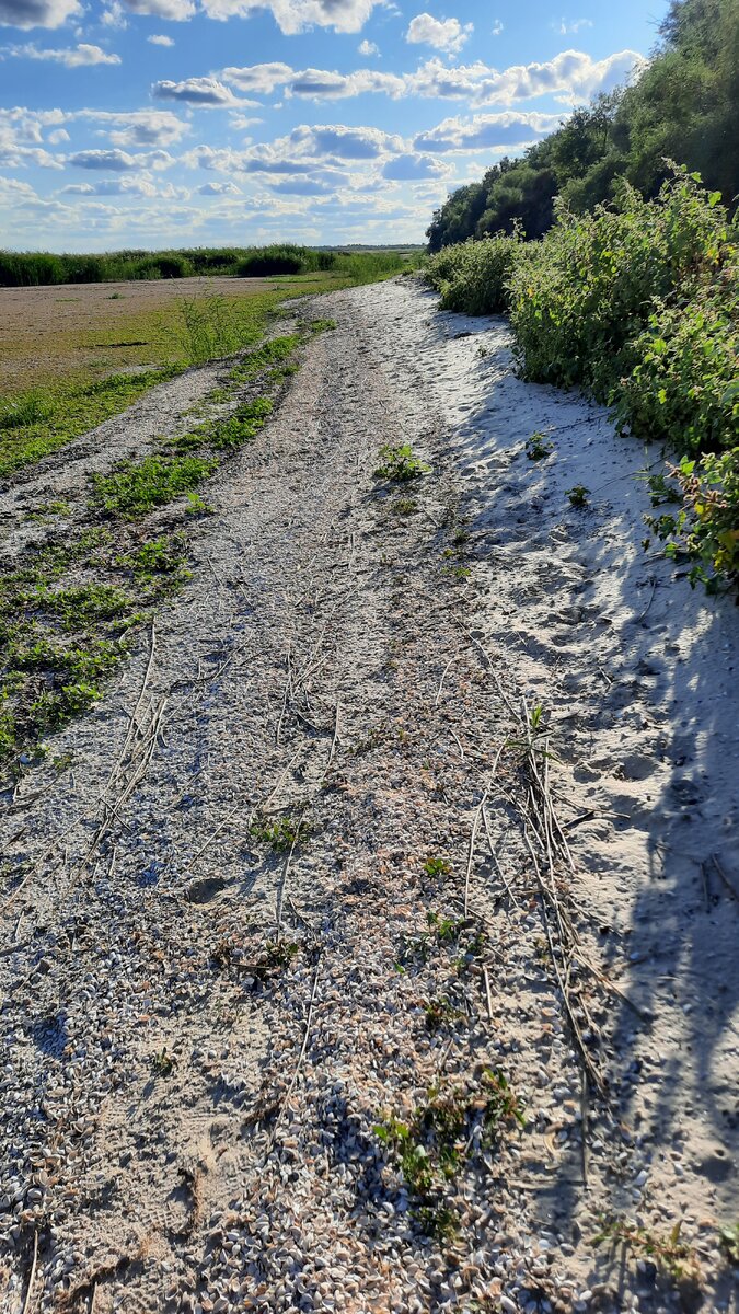 Наша природа