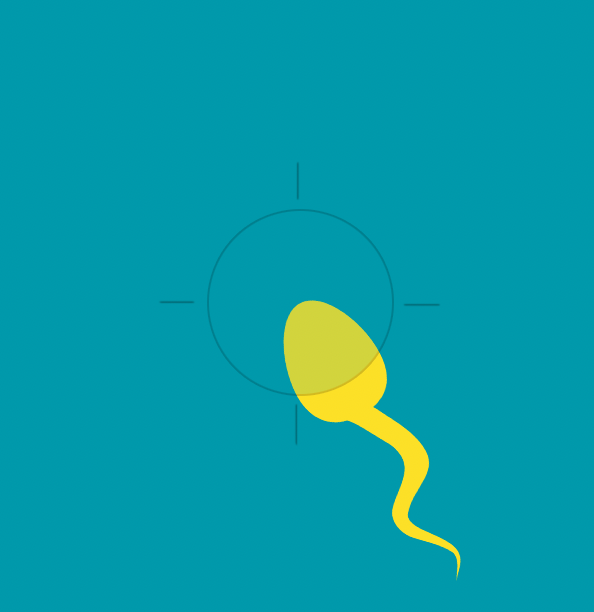 Скоро ПАПА! Глава первая. Зачатие и беременность, страхи и мифы, стандартные мужские грабли, новые удовольствия и необходимые изменения