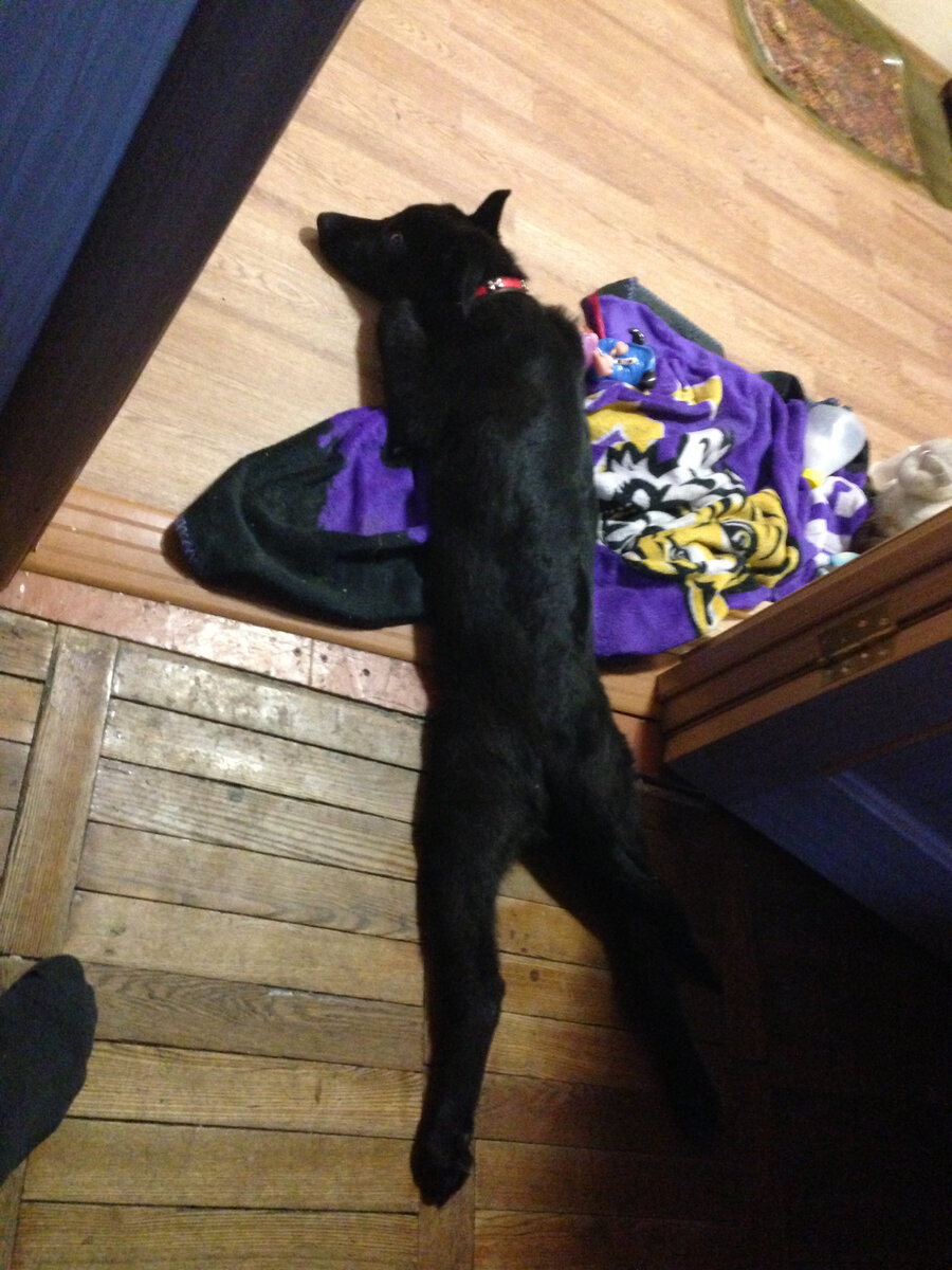 На этом фото Рону уже 3 месяца