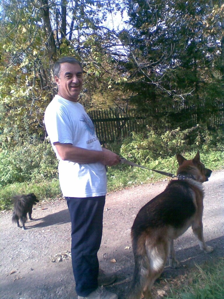 На прогулки с мужем они выходили вместе. Волк на поводке. И не признающая ограничений Жучка