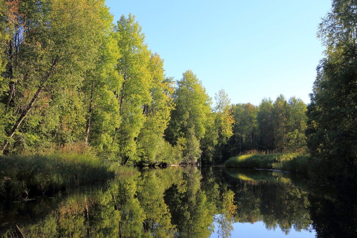 18.08.2015  18:34:59  Река Черная