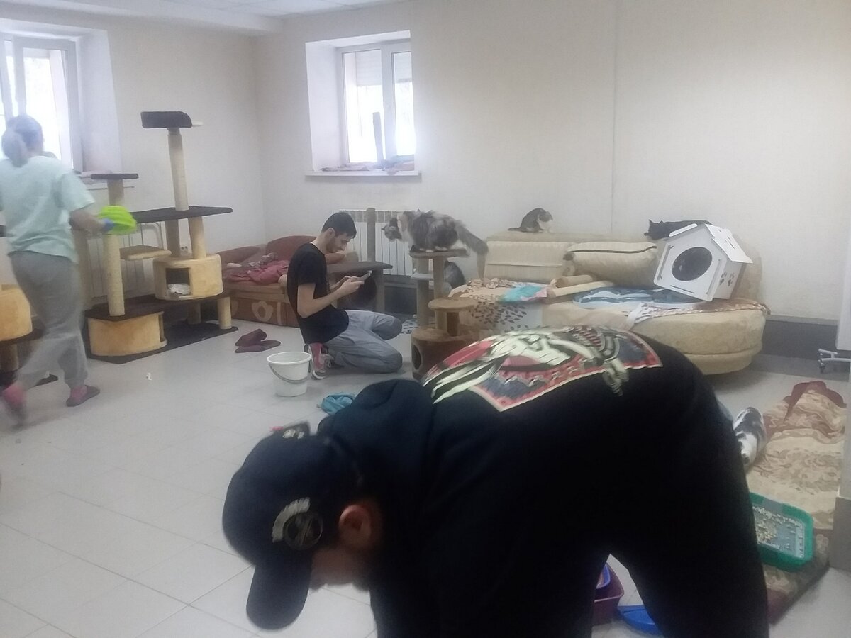 парни-студенты очень нам помогли