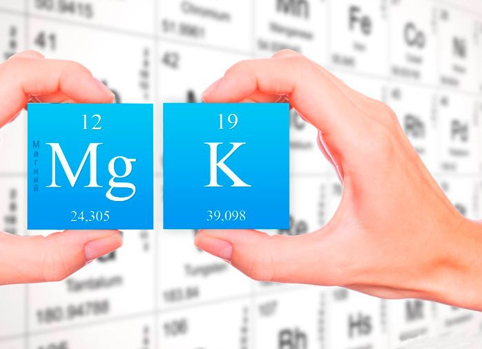 се фото - яндекс-картинки