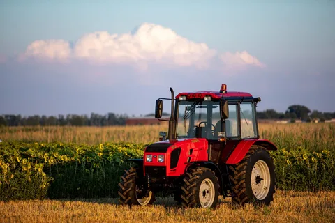 Фотография из открытого доступа