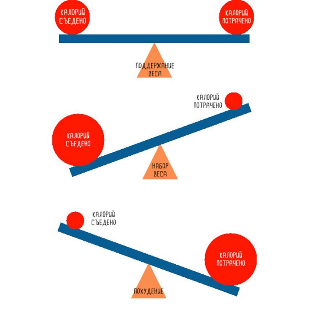 Баланс энергий в человеке. Энергетический баланс. Энергетический баланс организма. Баланс калорий. Баланс энергии в организме.