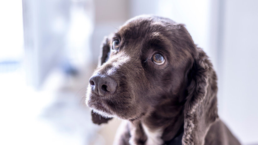   Gettyimages.ru Jamie Brand / EyeEm