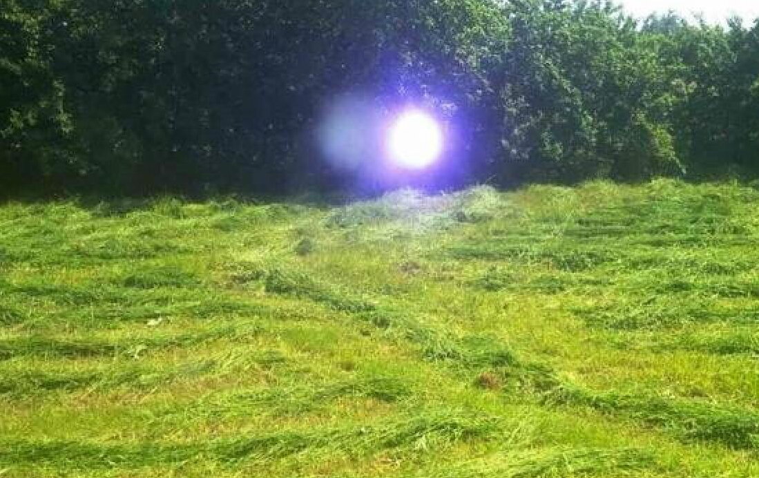 Шаровые молнии - один из видов плазменной формы жизни.
Источник фото: https://x-files.site/images/news/96/5/6/sharmob_2_t5.jpg