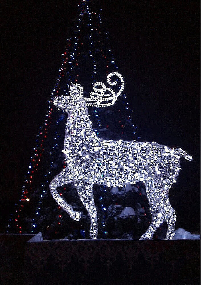 фото автора 