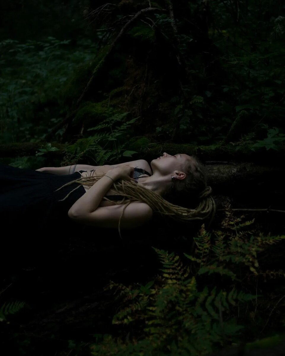 фото из открытых источников