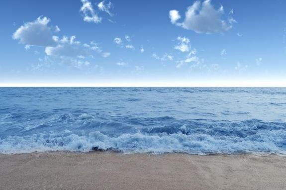    Фото: stockvault