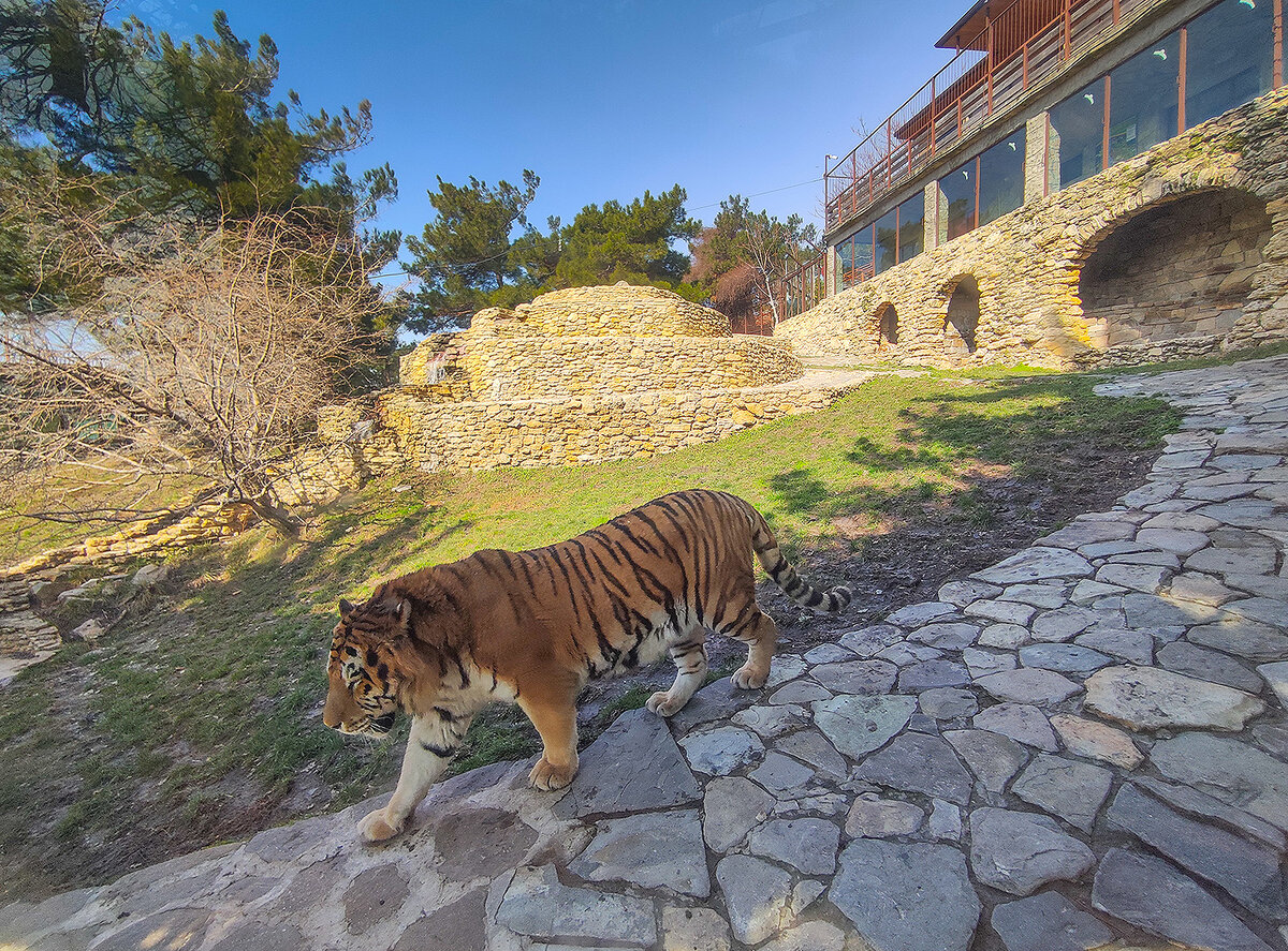 Территория парка красивая, ухоженная