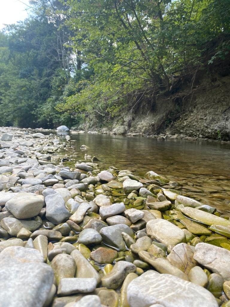 фото автора. р. Джанхот в окрестностях СНТ Прасковеевка.