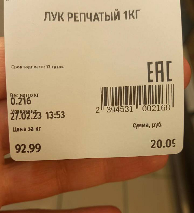    Цена лука в супермаркете «Магнит»