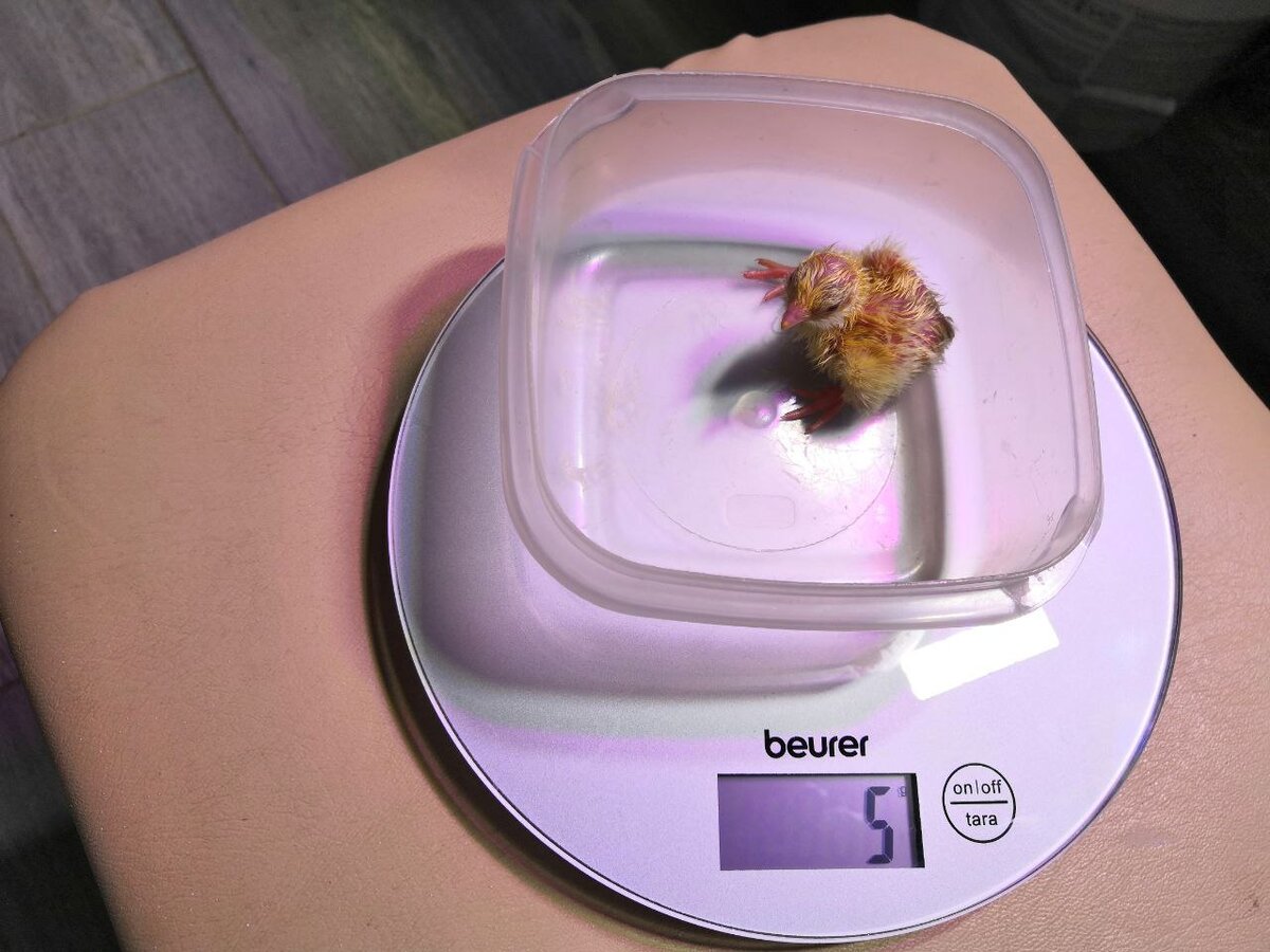 2 часа от роду