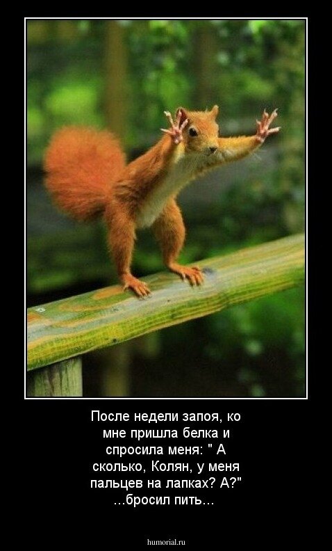 Из открытых источников