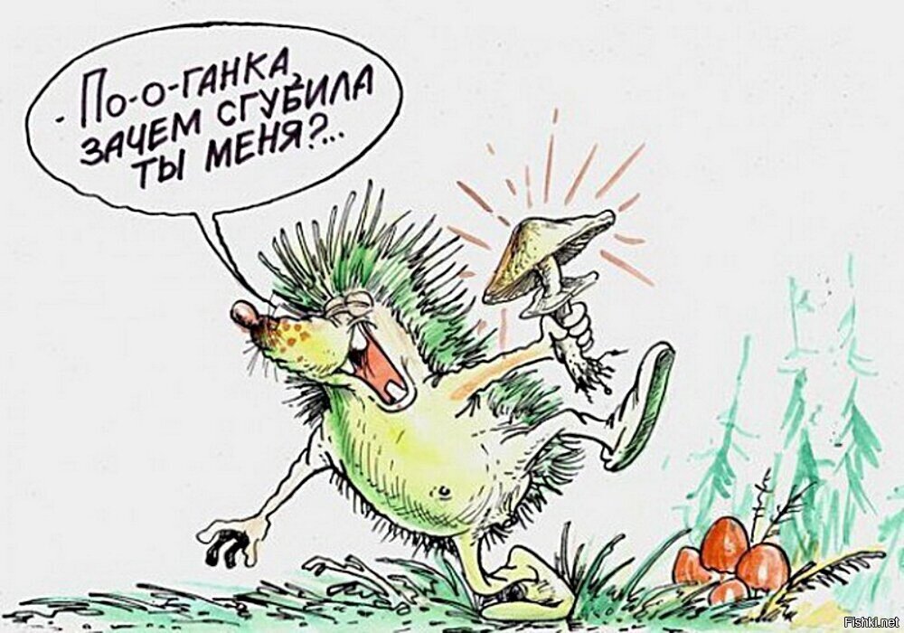 m.fishki.net