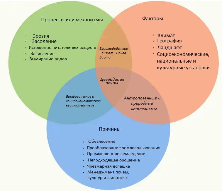 Верни мои урожаи! Или как подарить почве утраченное плодородие?