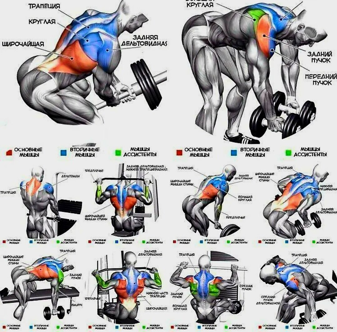 Упражнения на спину на массу. Упражнения для прокачки спины в тренажерном зале. Комплекс упражнений на спину в тренажерном зале для мужчин. Упражнения на широчайшие мышцы спины в тренажерном зале. Упражнения на широчайшие мышцы спины в тренажерном зале для мужчин.