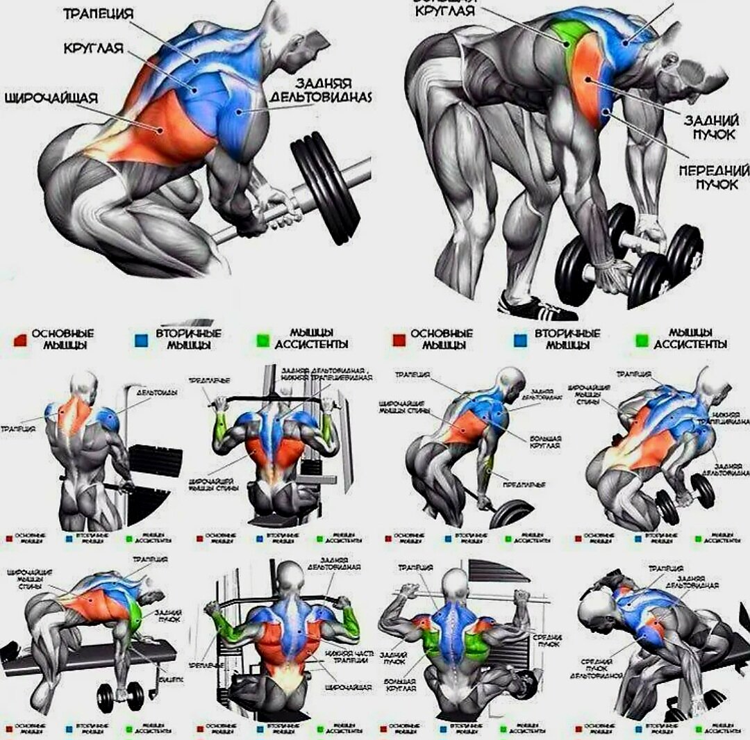Расти спина. Упражнения для прокачки спины в тренажерном зале. Комплекс упражнений на спину в тренажерном зале для мужчин. Упражнение на широчайшие мышцы спины в тренажерном зале. Упражнения на широчайшие мышцы спины в тренажерном зале для мужчин.