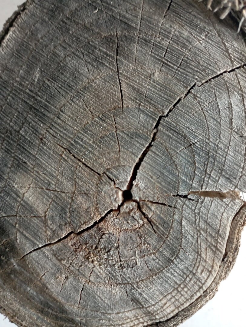 фото нестандартное хобби