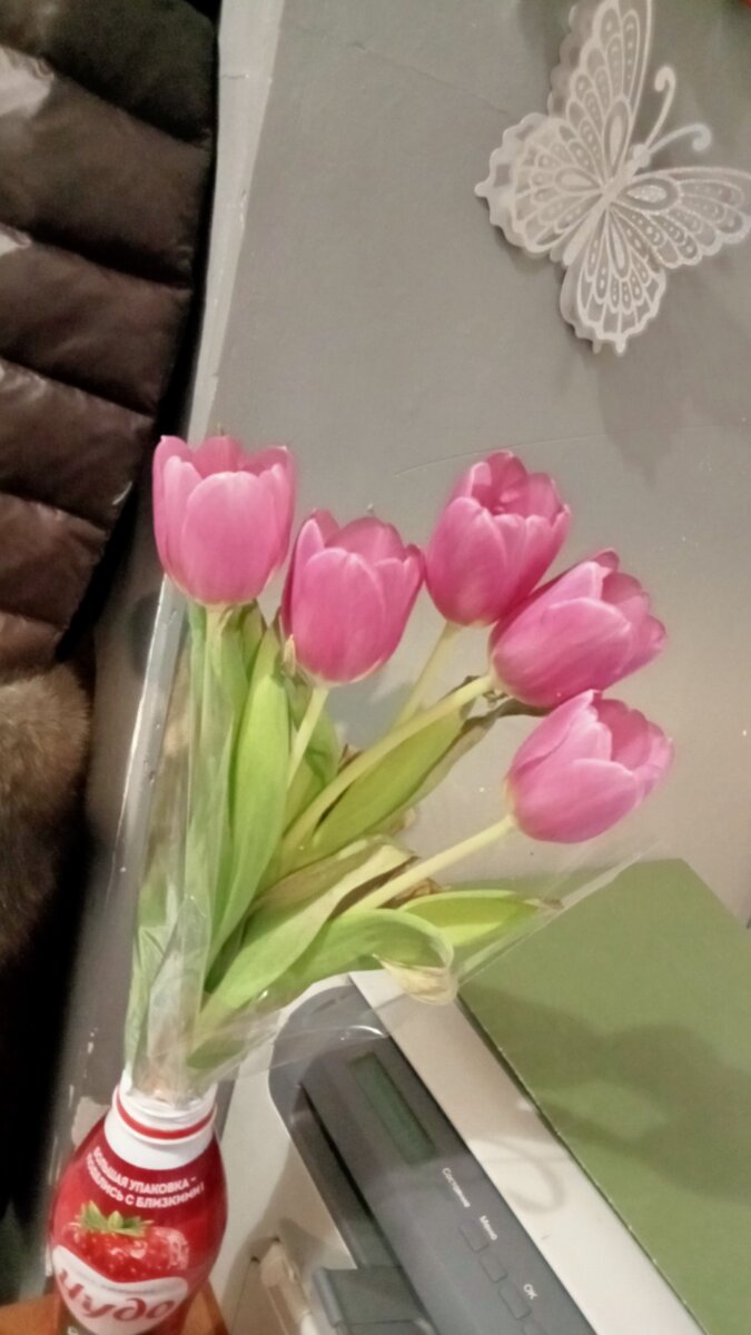 Вот такие цветочки мне подарили на работе жильцы хостела, это так было мило и безумно приятно, что на праздник я не осталась без цветов. ☺️