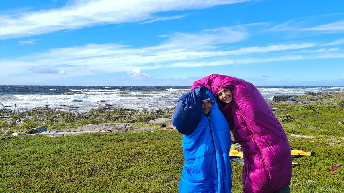 От ветра прятались кто как мог