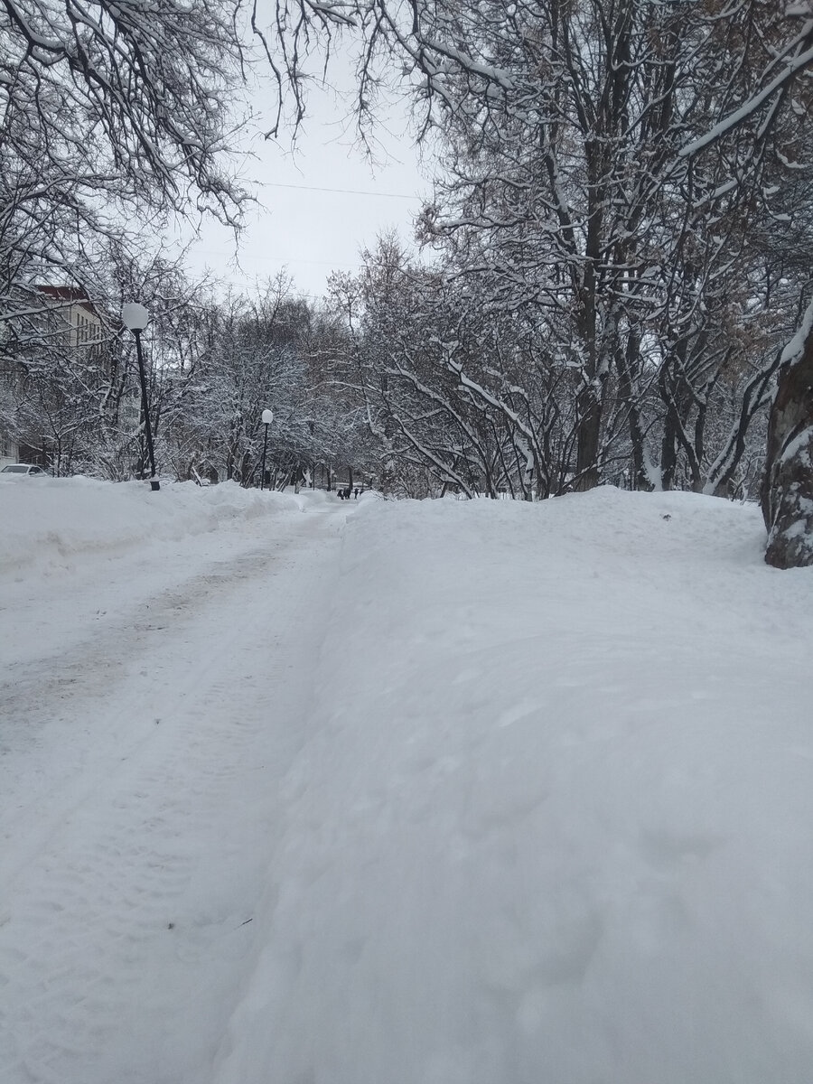 фото автора/Октябрьский сквер или театральный в Вологде