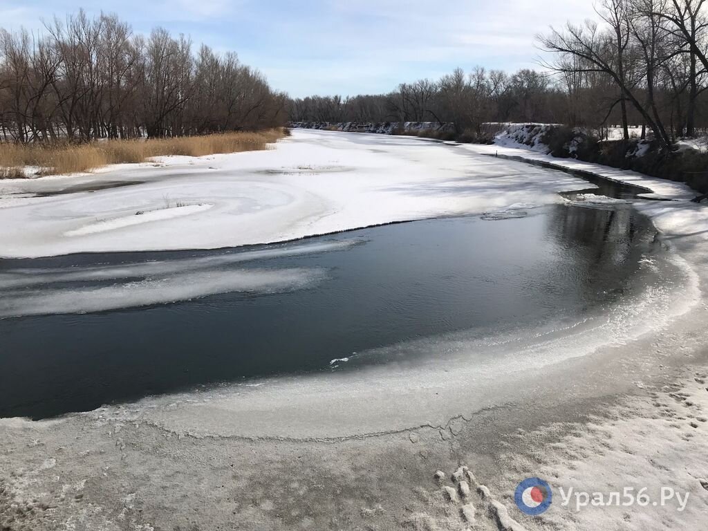 Уровень воды в урале 10. Уровень воды в Урале. Уровень воды в Урале у Оренбурга. Уровень воды в Урале Илек. Гагаринский мост Орск.