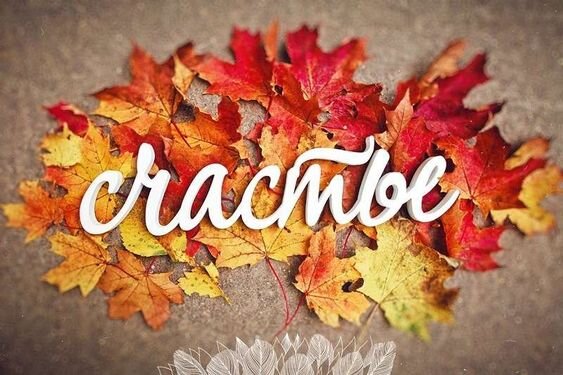 Надпись счастье на листах деревьев.