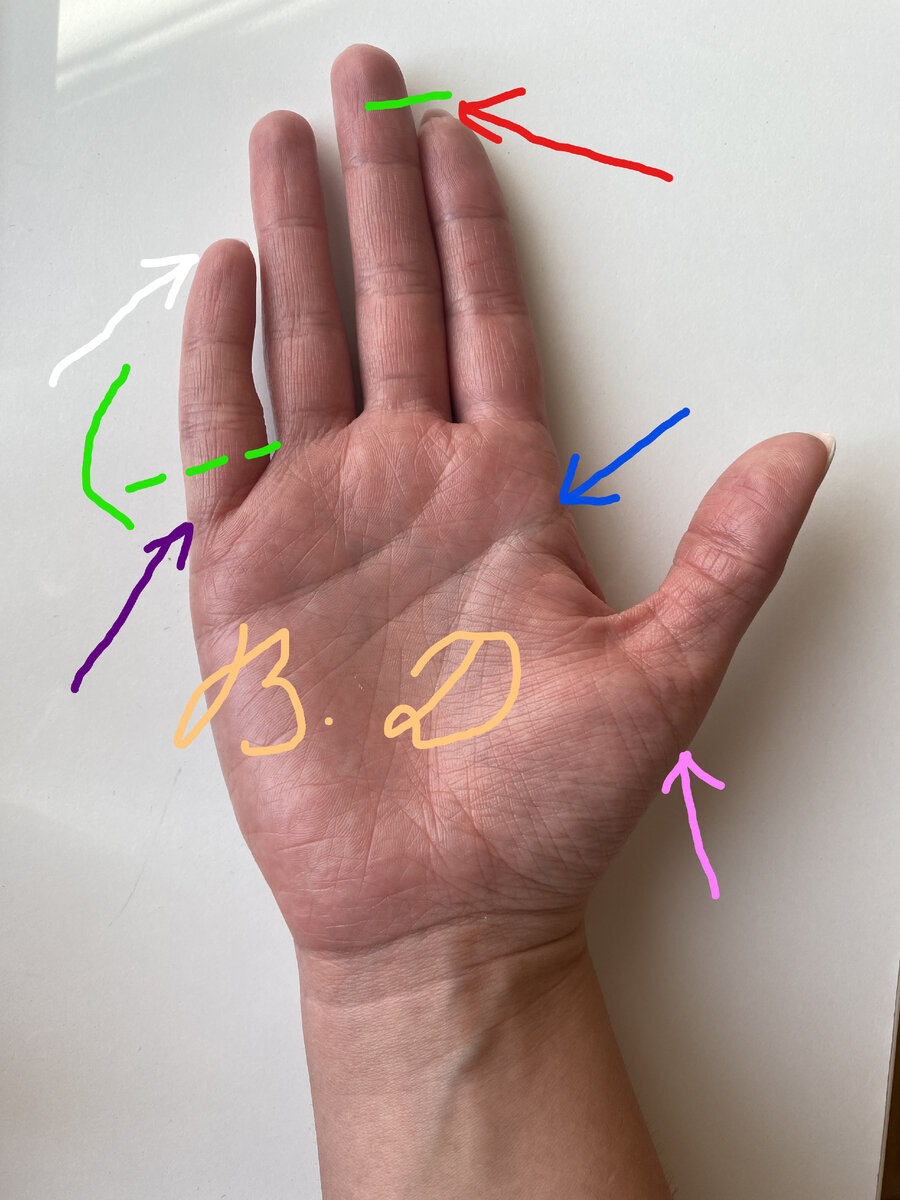 Линии на руке, пальцы на примере. Фото. Хиромантия Василиса Дождь