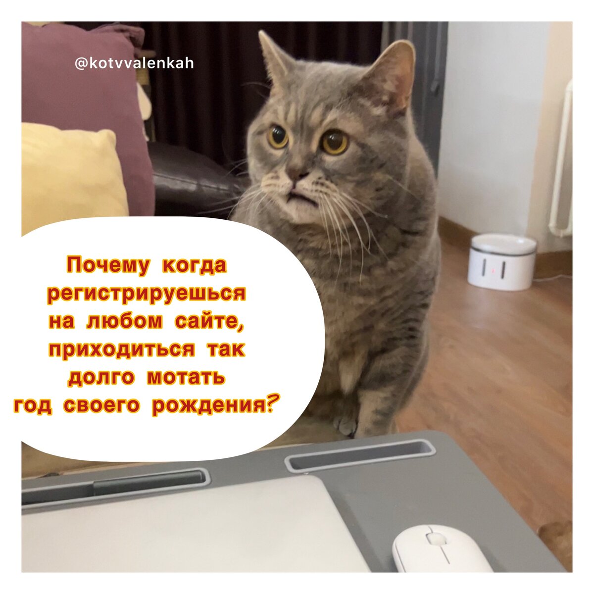 Мемы субботы, или как понять женщин?😼 | Кот в валенках Марсель | Дзен