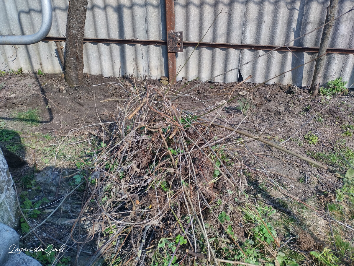 Вот такая кучка веток, корней и травы получилась