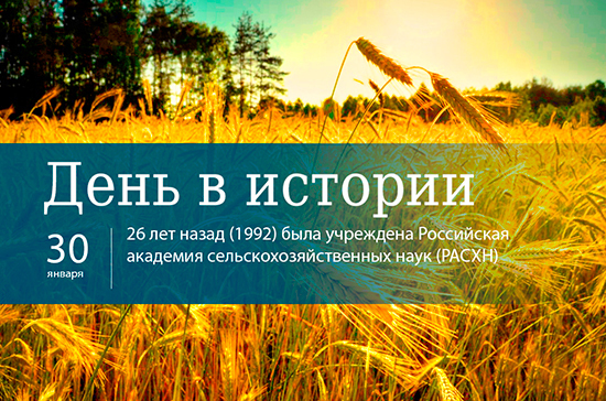 Яндекс.Картинки